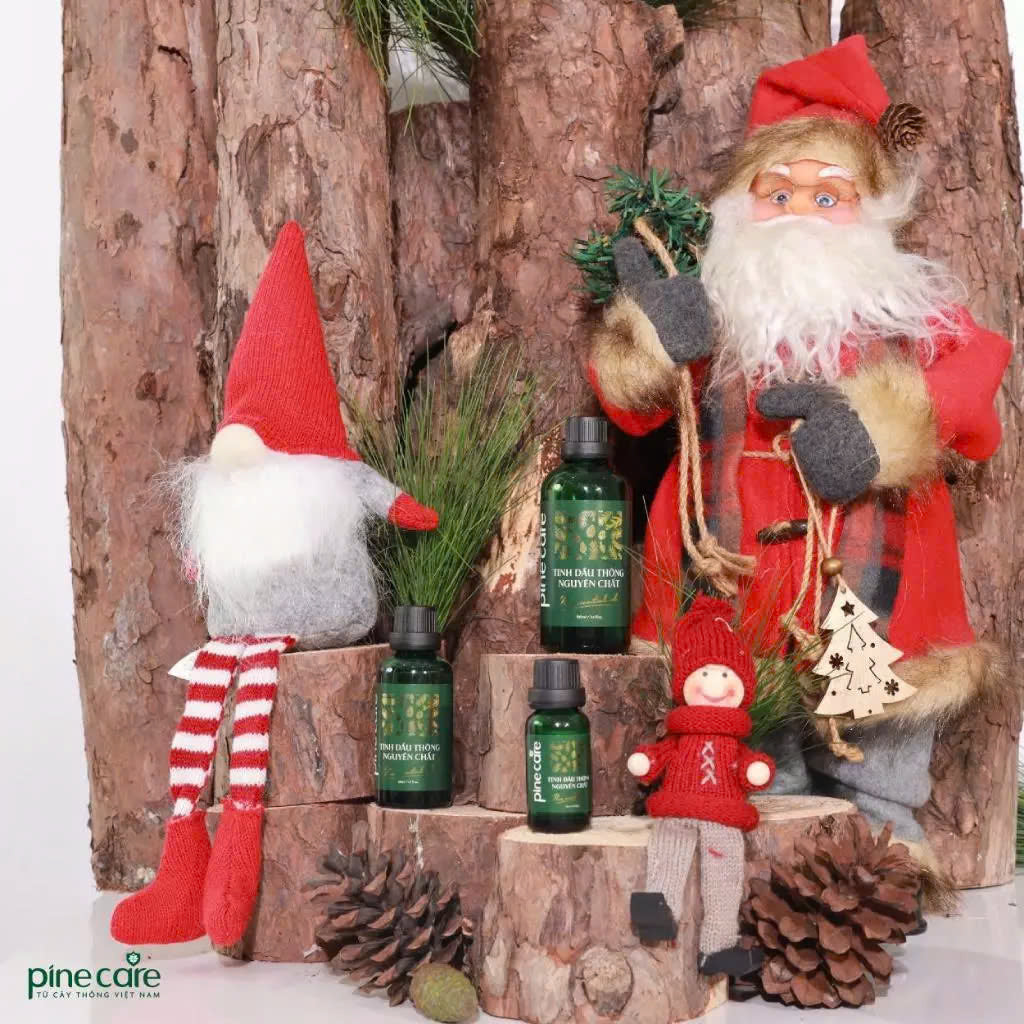 Combo of 03 bottles of Pinecare essential oil to help relax and improve health 15ml, 50ml, 100ml
