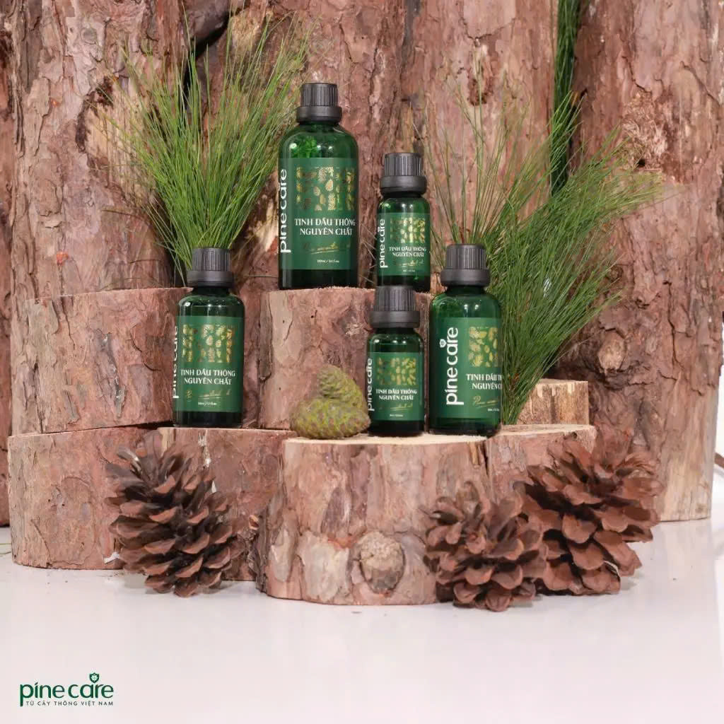 Combo of 03 bottles of Pinecare essential oil to help relax and improve health 15ml, 50ml, 100ml