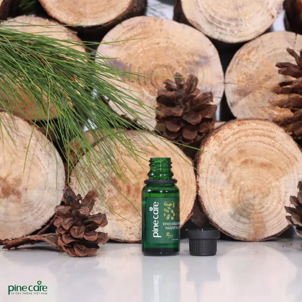 Combo of 03 bottles of Pinecare essential oil to help relax and improve health 15ml, 50ml, 100ml