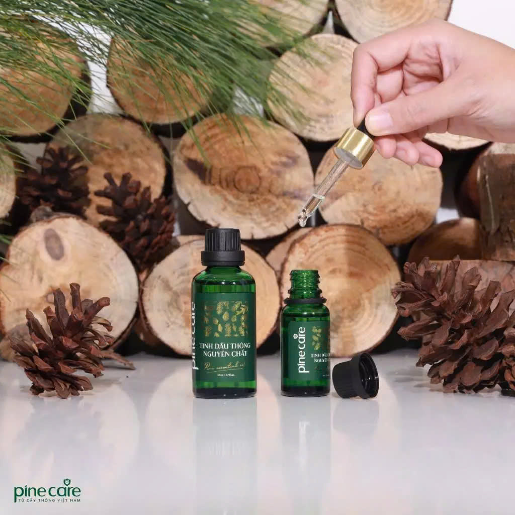 Combo of 03 bottles of Pinecare essential oil to help relax and improve health 15ml, 50ml, 100ml