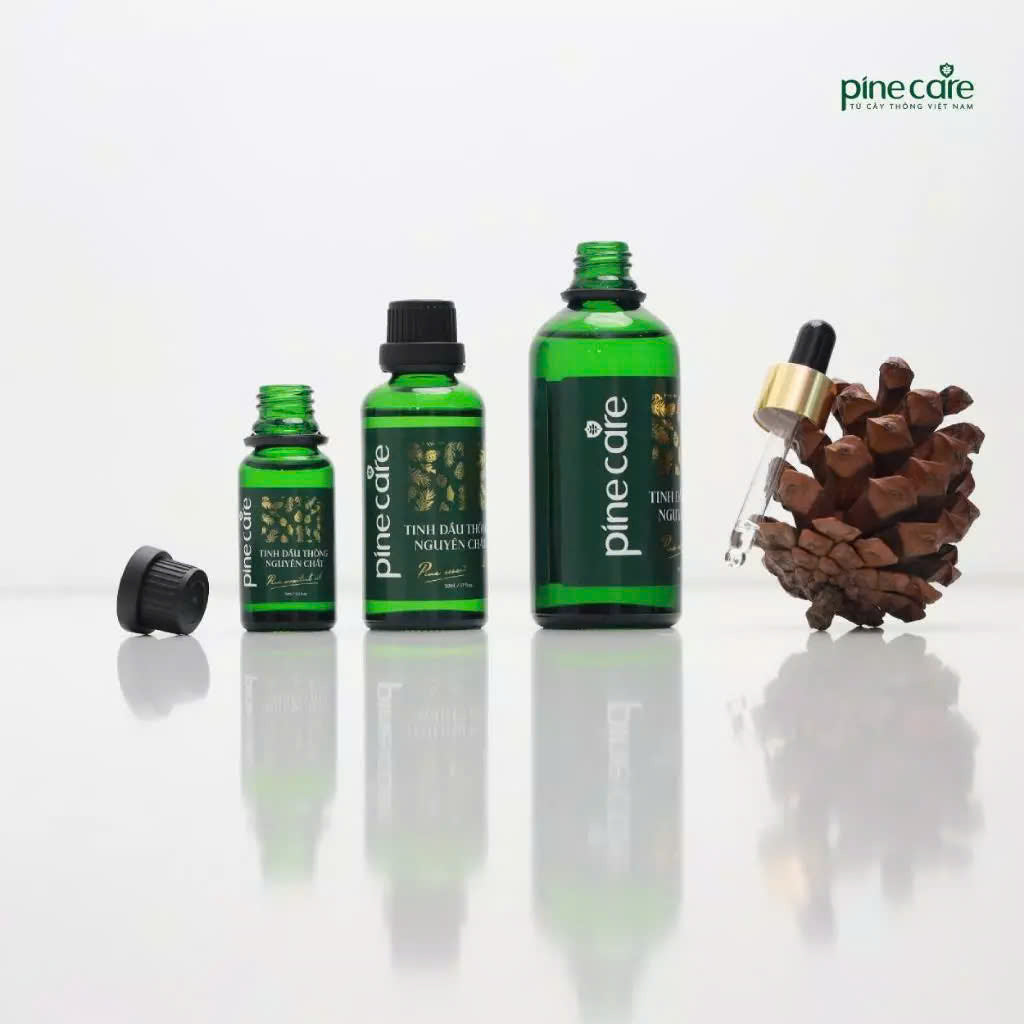 Combo of 03 bottles of Pinecare essential oil to help relax and improve health 15ml, 50ml, 100ml