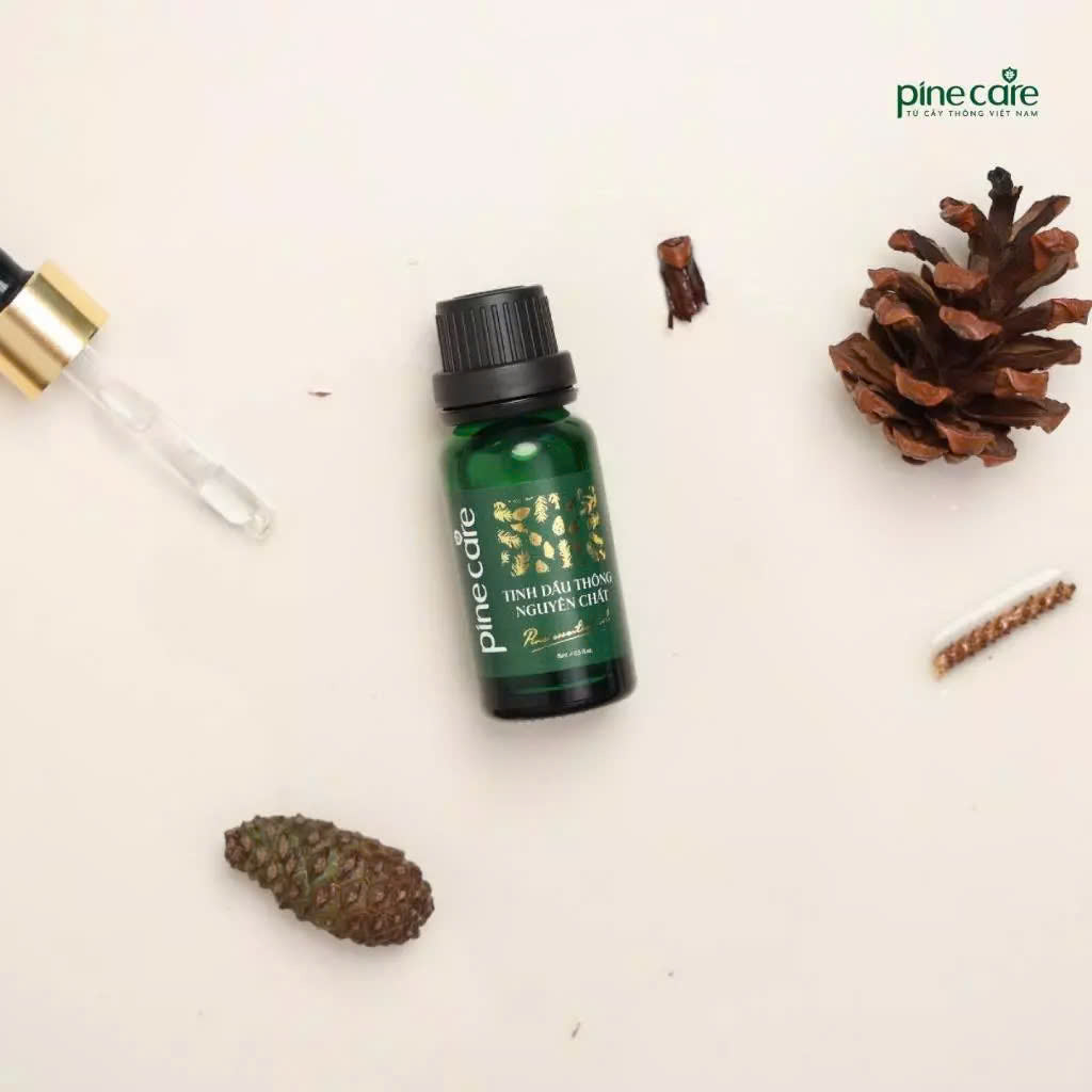 Combo of 03 bottles of Pinecare essential oil to help relax and improve health 15ml, 50ml, 100ml