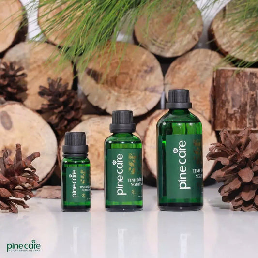 Combo of 03 bottles of Pinecare essential oil to help relax and improve health 15ml, 50ml, 100ml