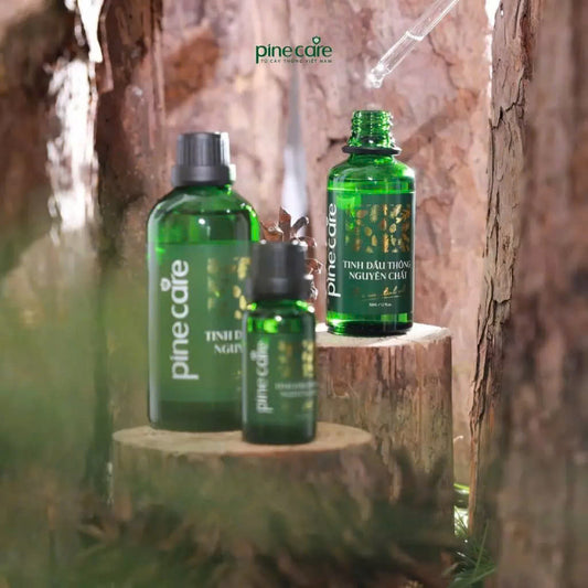 Combo of 03 bottles of Pinecare essential oil to help relax and improve health 15ml, 50ml, 100ml